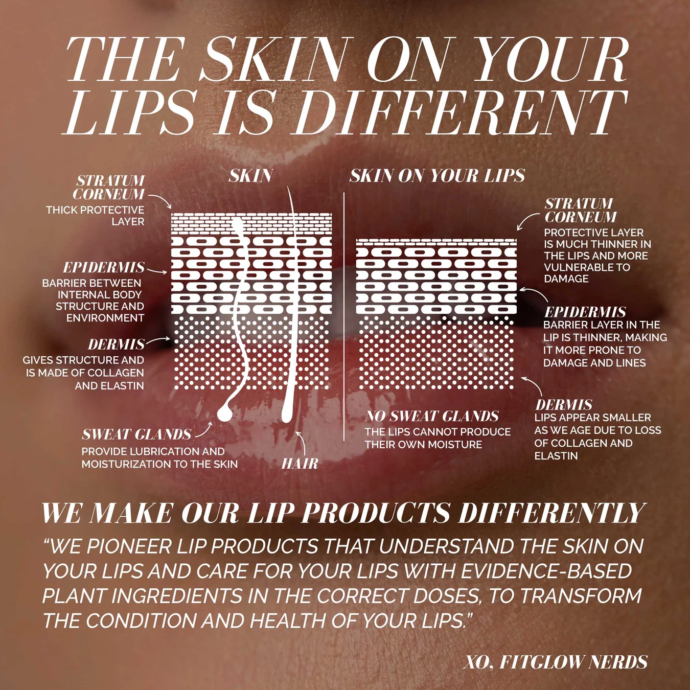 Ceramide Hydra-Balm Lip Duo - Image 5